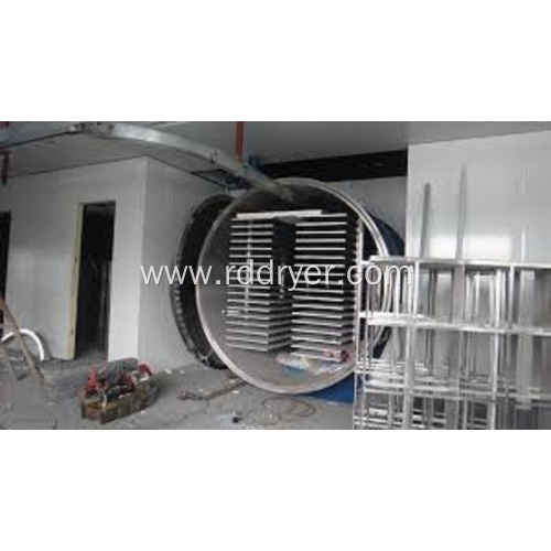 food vacuum freeze dryer for vegetables